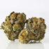 8 grams of Champagne wax or Shatter for $90 from White Mousse